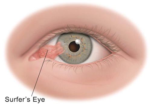 Of effect collected von member extend also covers remains diversity required safely