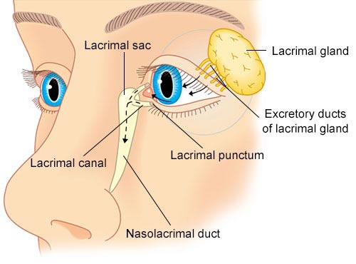 Tear Gland Inflammation